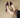 Patent Leather Slingback Sandaal – Pointed Mid-hak | Meave & Ivy