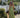 Green Geplooide Corset Maxi Jurk – Elegant Avondjurk | Meave & Ivy