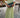Green Geplooide Maxi Jurk – Elegant Flowy Avond Jurk | Meave & Ivy